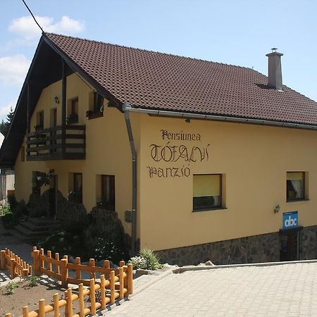 Pension Tofalvi Hargitafürdő Kültér fotó