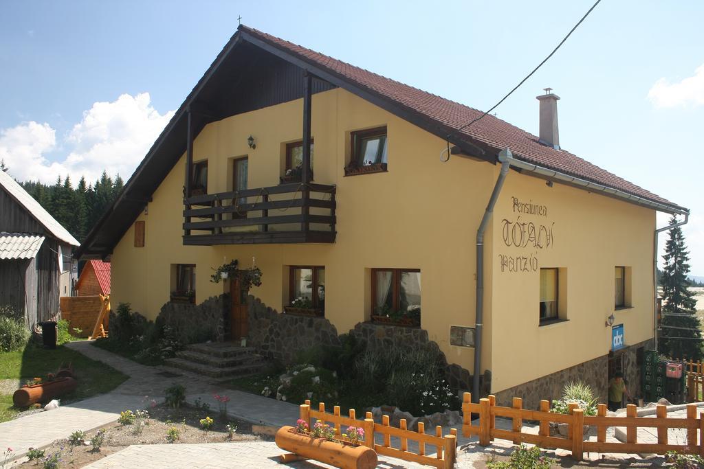Pension Tofalvi Hargitafürdő Kültér fotó